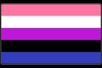 Large Gender Fluid Pride Flag 3' x 5'