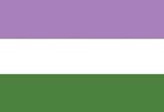 Large Genderqueer Pride Flag 3' x 5'