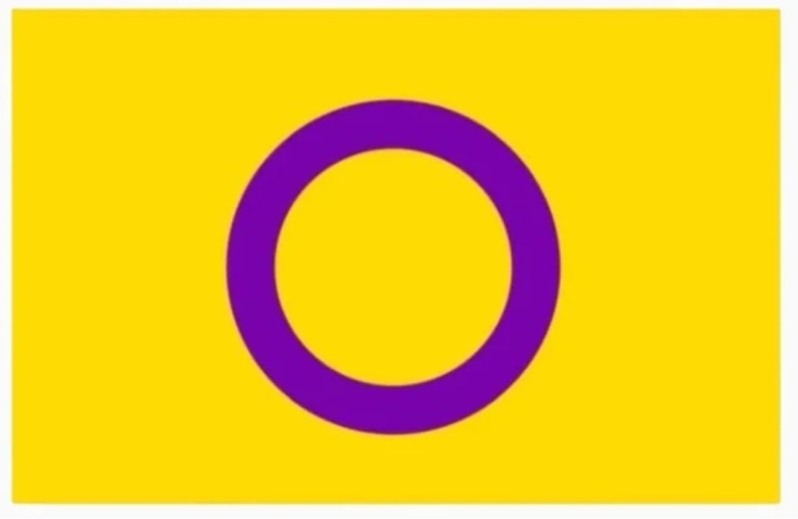 Large Intersex Flag 3' x 5'