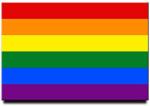 Large Rainbow Pride Flag 3'x5'