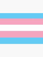 Large Trans Pride Flag 3' x 5'